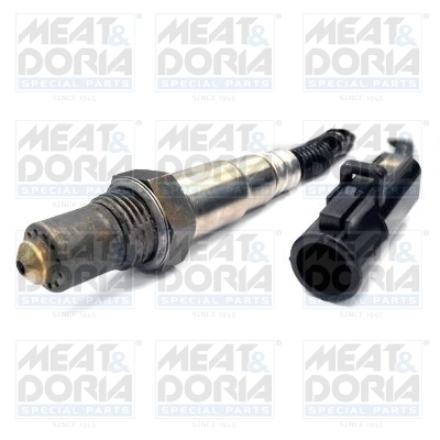 Oxygen Sensor